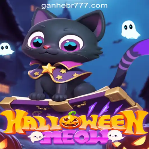 Unleashing Thrills with HalloweenMeow: The Purrfect Casino Adventure